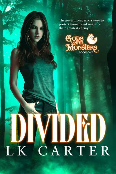 Divided Ebook Cover Full Size